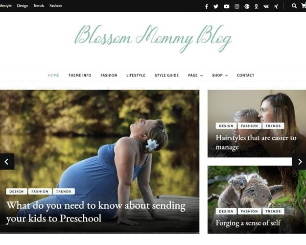 blossom-mommy-blog