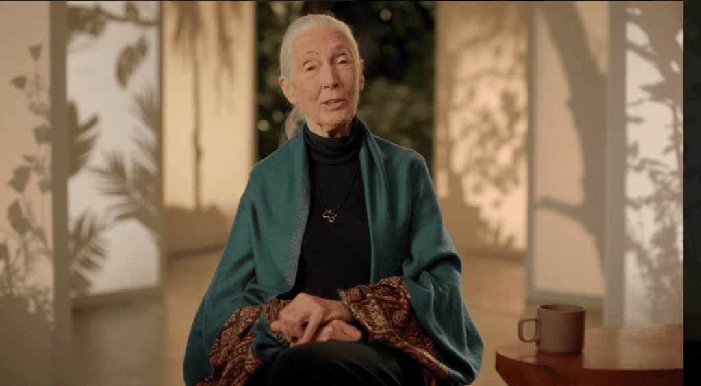 Introduction Dr Jane Goodall Teaches