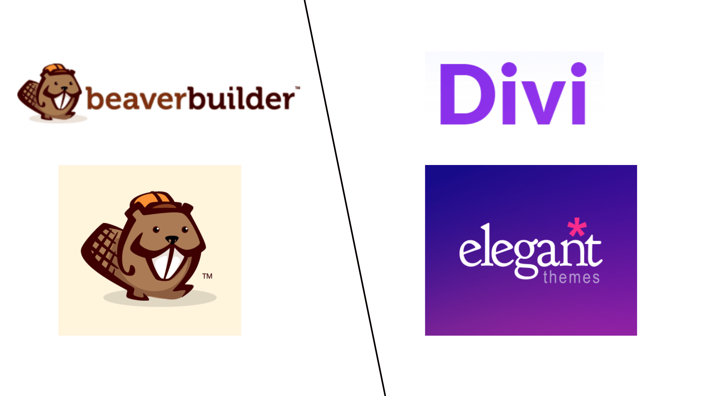 beaver builder vs divi