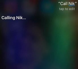call nik