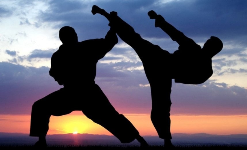 Can You Learn Martial Arts Online