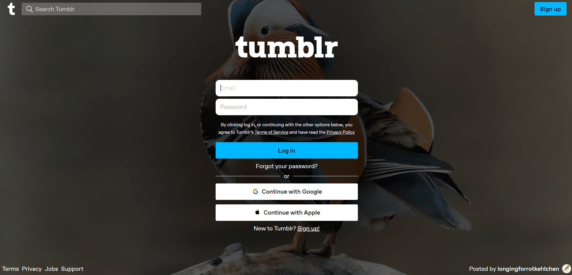 About Tumblr